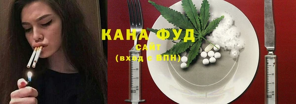 индика Абаза