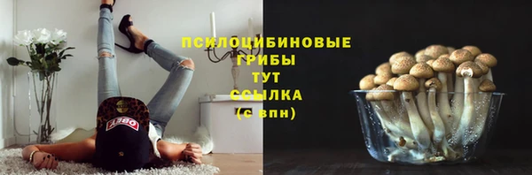 индика Абаза