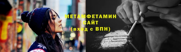 индика Абаза