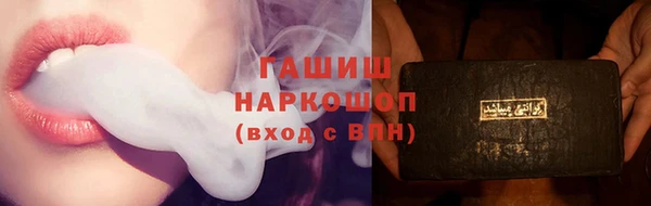 индика Абаза