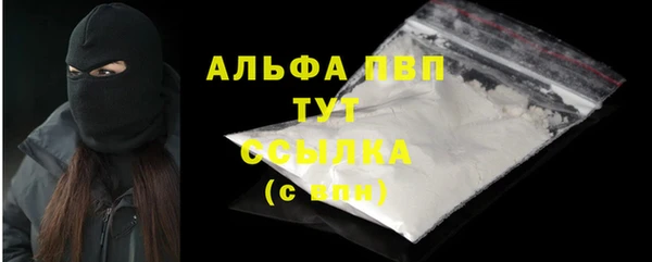 индика Абаза