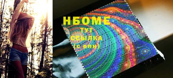 индика Абаза