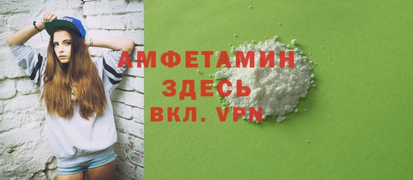 индика Абаза
