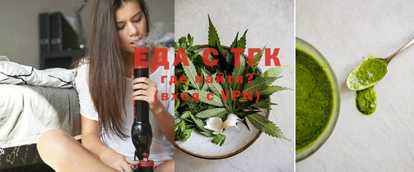 индика Абаза