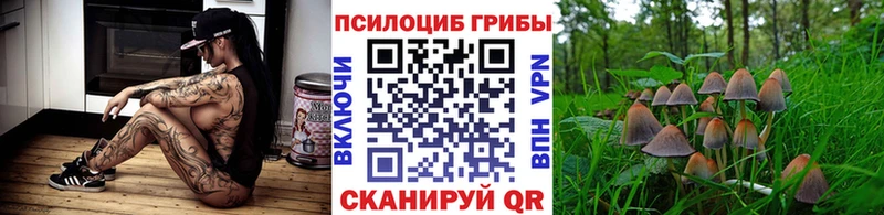 Галлюциногенные грибы Magic Shrooms  Ирбит 